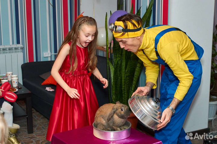 Фокусник на детский праздник анимация, шоу, пузыри