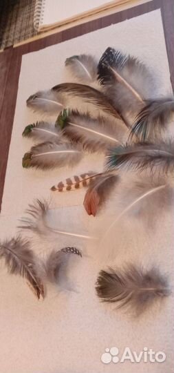 Декоративные перья