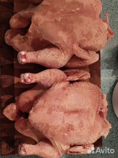 Мясо домашнего бройлера