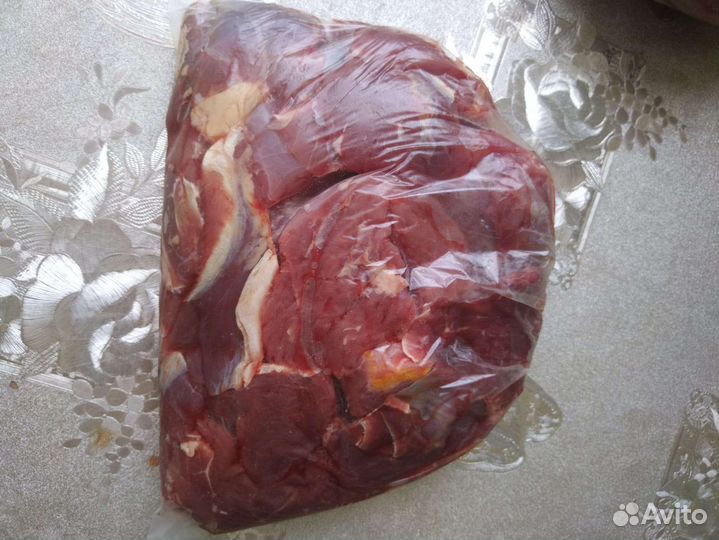 Мясо говядины опт