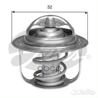 TH39995G1 gates Термостат TH39995G1 Gates