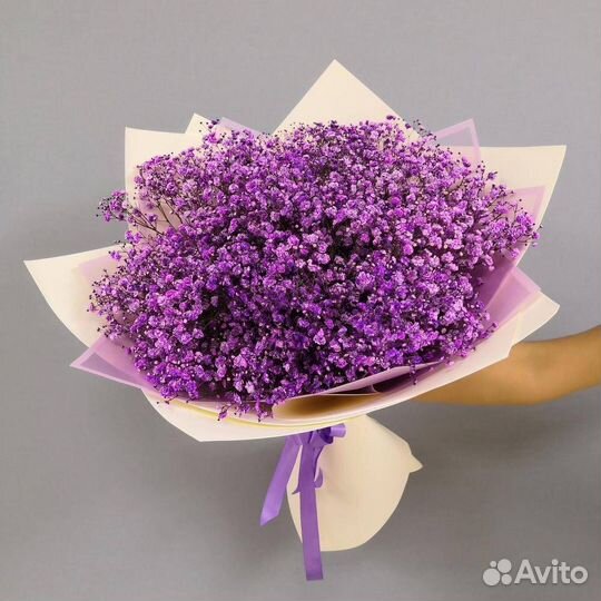 Букет из фиолетовых гипсофил 151 шт