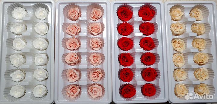 Стабилизированные цветы (розы)