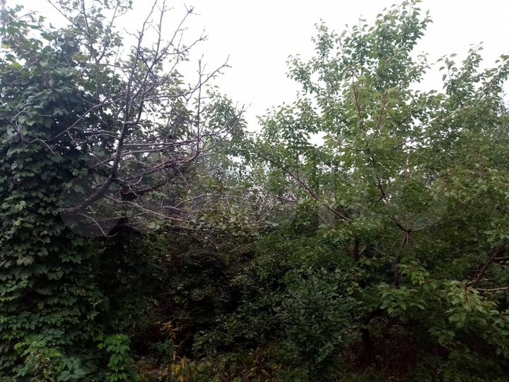 Участок 5 сот. (СНТ, ДНП)