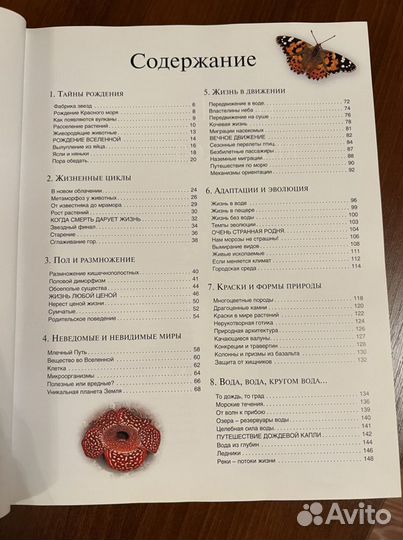 Удивительная жизнь природы