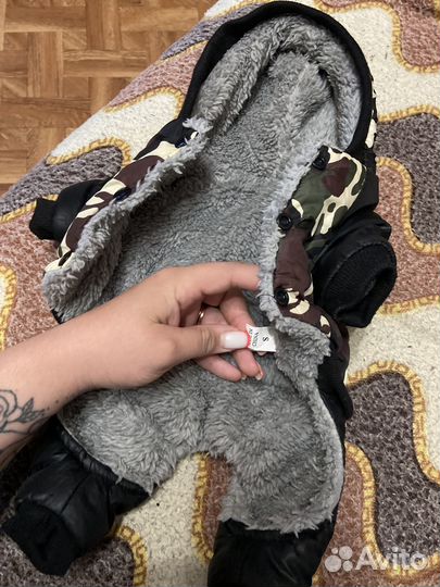 Одежда для собак мелких пород