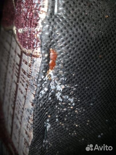 Уничтожение:Клопы,Тараканы,Запахи,Плесень