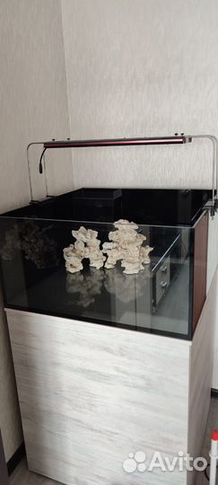 Морской аквариум