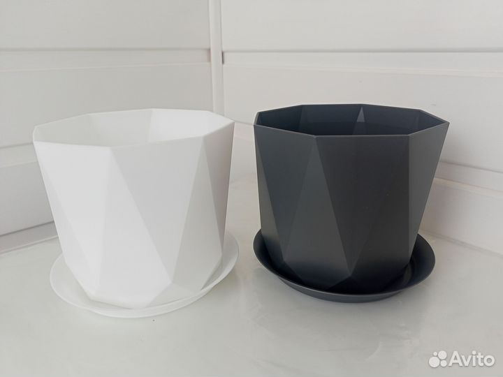 Драцена маргината окаймленная