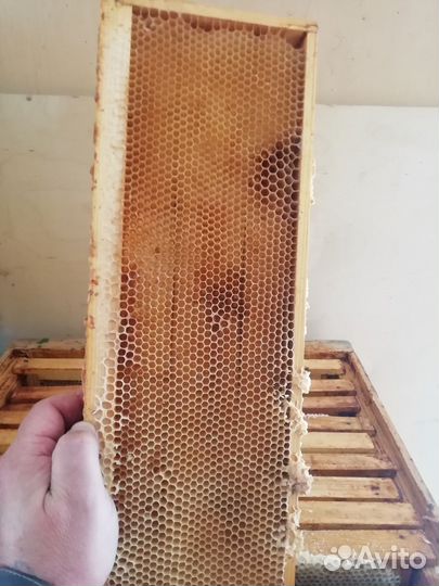 Рамки с сушью