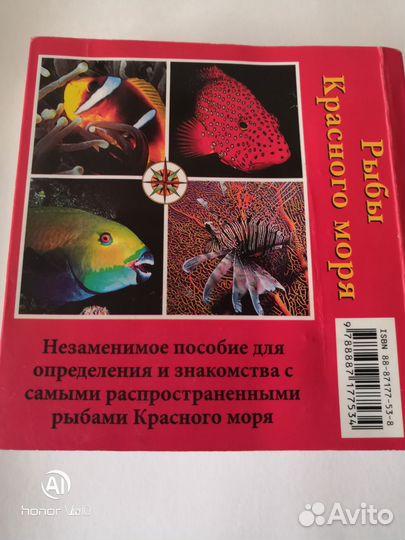 Рыбы Красного моря