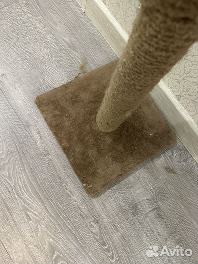 Когтеточка для кошек