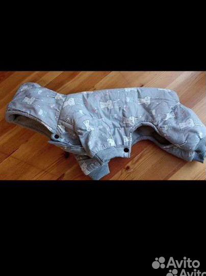 Комбинезон для собаки