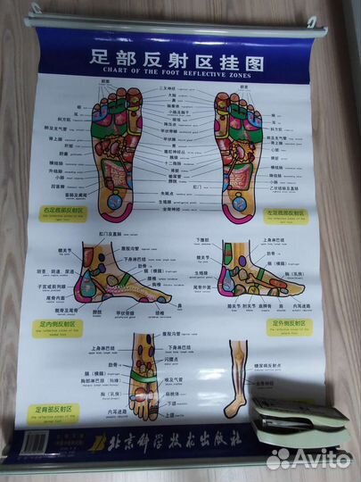 Таблица рефлекторная карта стопы, 57см х 89