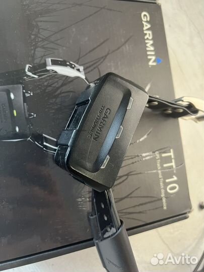 Ошейник Garmin