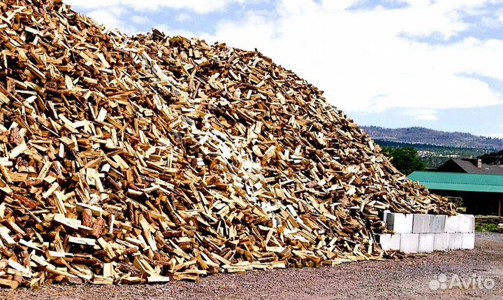 Дрова образцовые