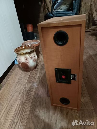 Центральный канал, колонка