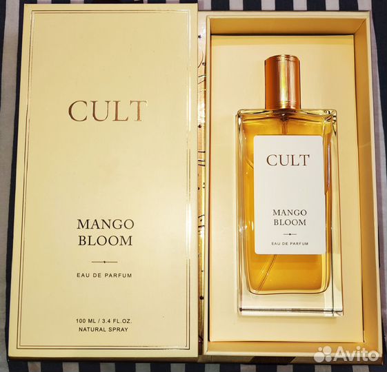 Cult mango bloom манго