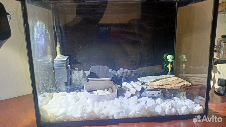 Аквариум в сборе