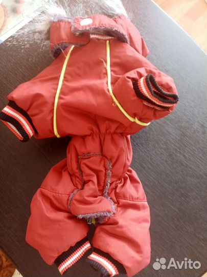 Комбинезон зимний для маленькой собачки