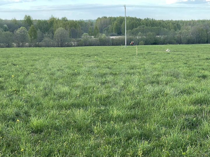 Участок 1,35 га (ИЖС)