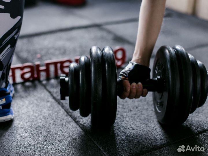 Гантели / Гантели разборные 30 кг (каждая)