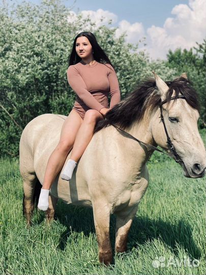 Прогулки на лошадях