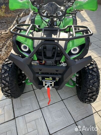 Grizzly 200