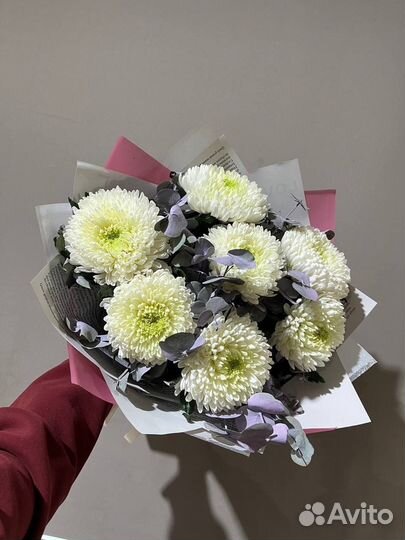 Хризантемы