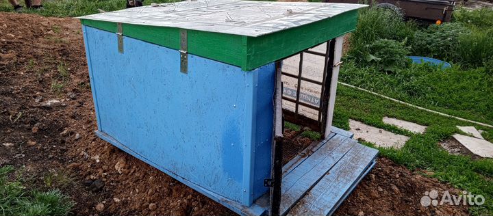 Цыплятник утятник