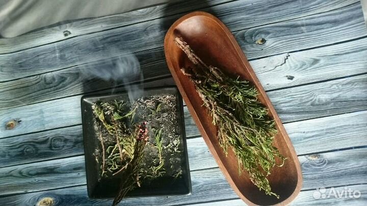 Артыш (можжевельник) 