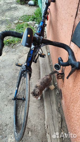 Шоссейный велосипед stels XT300 28