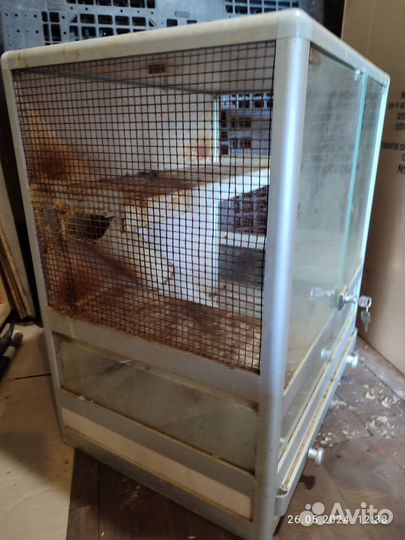 Клетка витрина для грызунов отдаю самовывоз