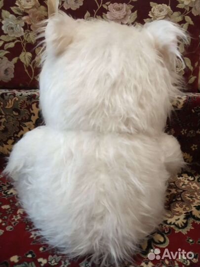 Медвежонок белый