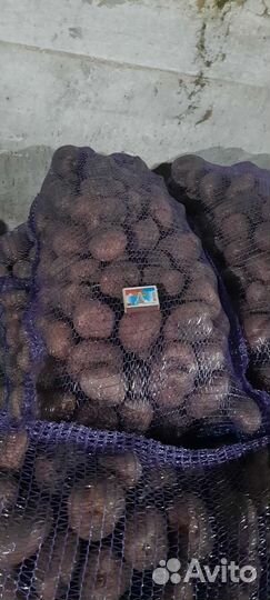 Картофель из Базарного-Карабулака