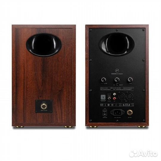 Активная Hi-Fi акустика Swan D300