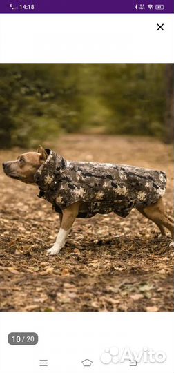 Попона для собак