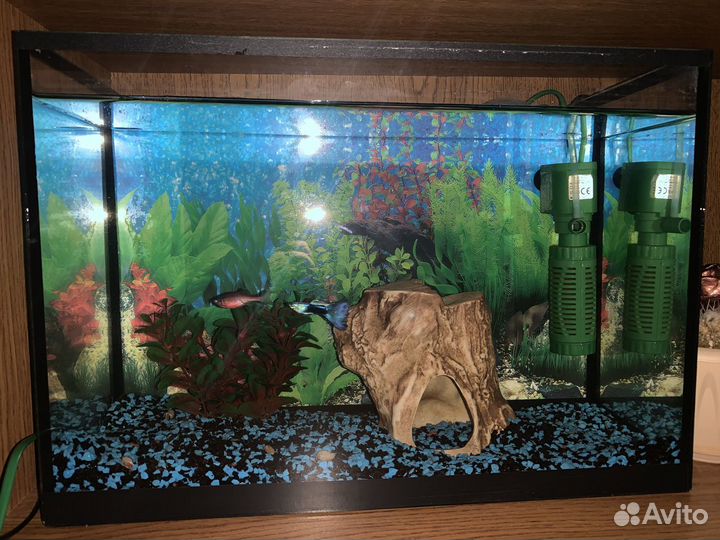 Аквариум