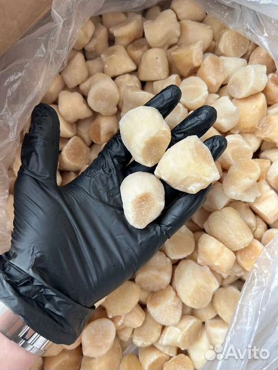 Филе Сахалинского Гребешка