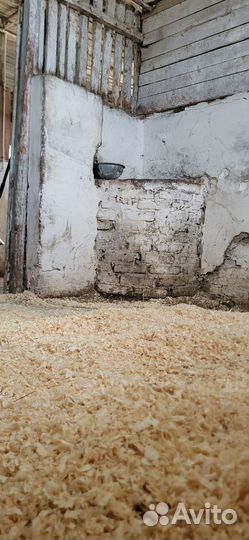 Постой для лошадей