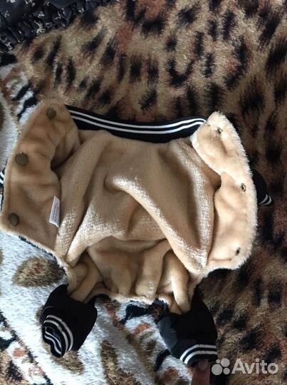 Одежда для собак