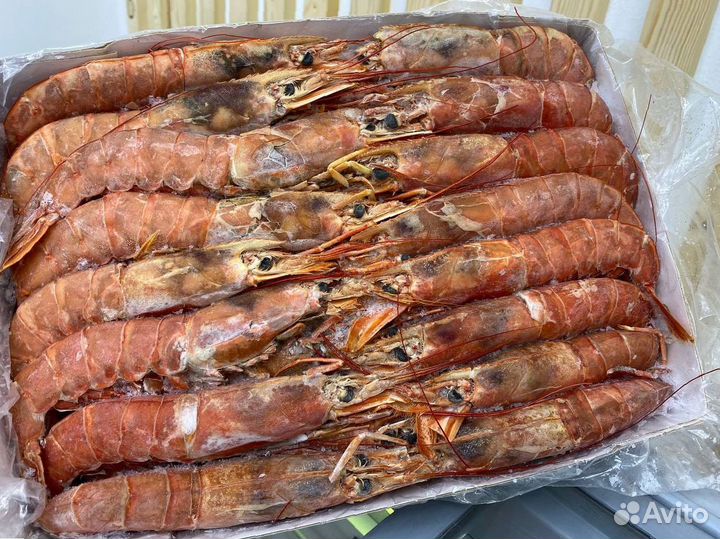 Лангустины L1 крупный. Доставка РФ. Опт