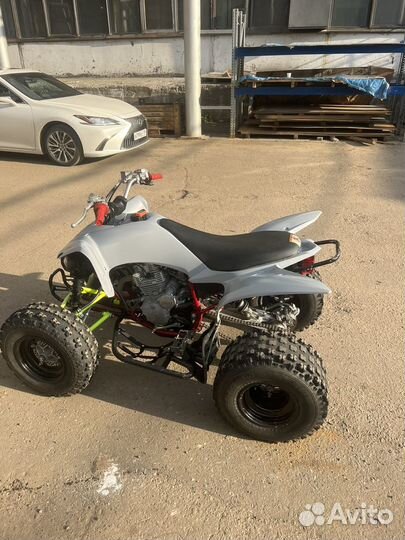 Yamaha raptor 250r