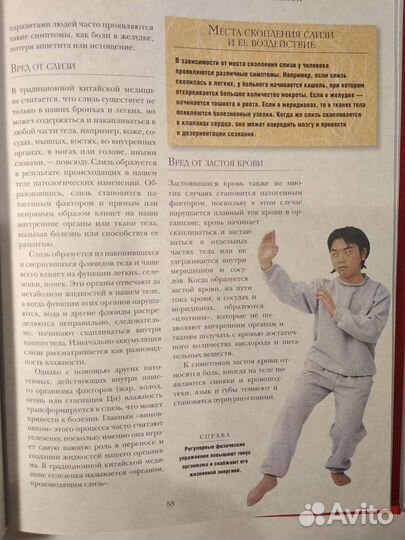 Секреты китайской медицины 205 стр