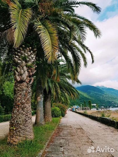 Тур Экскурсия в Абхазию