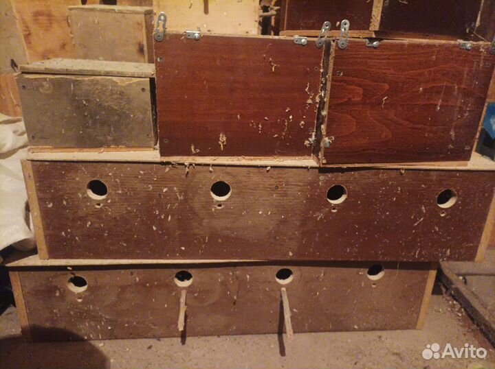 Гнезда для волнистых попугаев