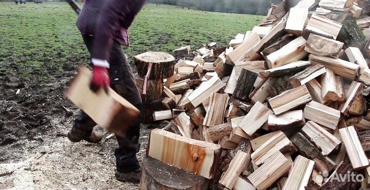 Дрова ольха осина