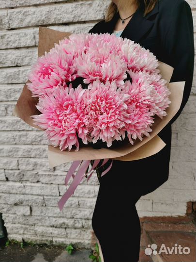 Цветы хризантема пастель, пион