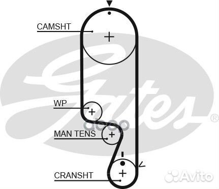 Ремень грм mitsubishi 1.3-1.6 03-06 (109x25) 55