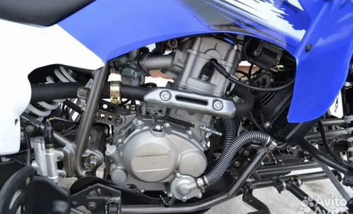 Квадроцикл Motoland ATV 250 S синий